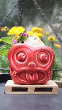 bebidas drink comida food