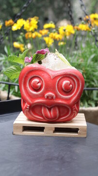 bebidas drink comida food