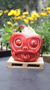 bebidas drink comida food