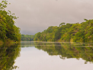 Amazonia