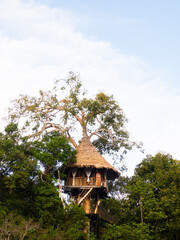 Glamping accommodation in the Amazon rainforest. Wooden treehouse , Amazon Rainforest, Amazonia, Pacaya Samiria National Reserve, Peru, South America. - 537862868