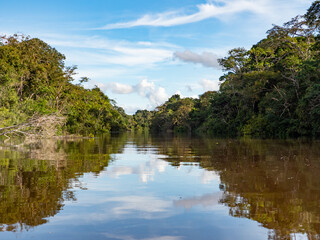 Fototapeta premium Amazonia