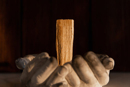 Palo 이미지 – 찾아보기 37,397 스톡 사진, 벡터 및 비디오 | Adobe Stock