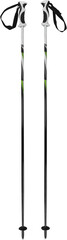 Pair of Black Ski Poles - Isolated