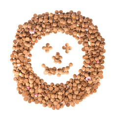 Obraz premium Happy face of ginger nuts