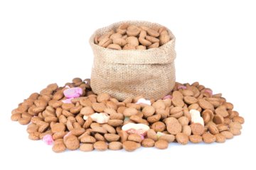 Jute bag filled with ginger nuts isolated on transparent background