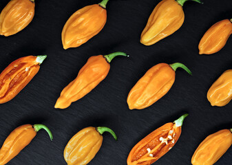 top view of hot orange chili peppers, bhut jolokia, on black slate background, diagonal arrangement of the hottest chillies in the world