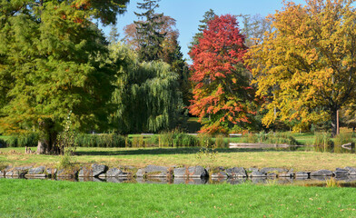 Autumn in all its glory. Amazing colors of autumn.