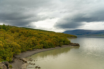 Hallormsstaður Forest