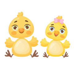 Cute  baby chicks sitting and smiling isolated on a white background