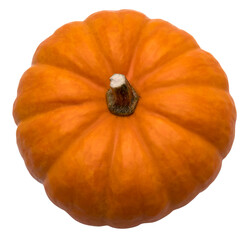 pumpkin isolated transparent background