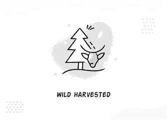 Wild Harvested Icon.