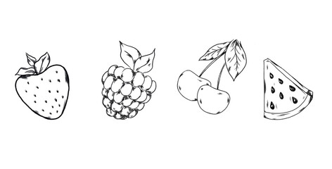summer berries friuts raspberry strawberry watermelon cherry line drawing