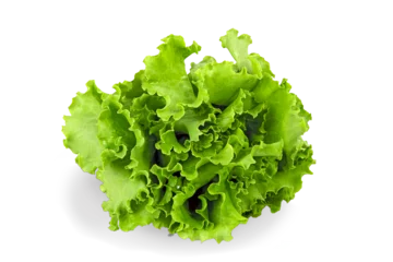 Foto op Plexiglas Fresh green salad on White Background © BillionPhotos.com