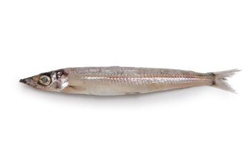 Nigisu, Deep-sea smelt ( Glossanodon semifasciatus )