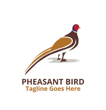 Beautiful Pheasant Bird Logo Design