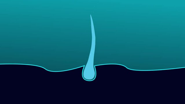 hair treatment with vitamin B5. Animation with the treatment of sick hair. Hair sprouting, cartoon animation.