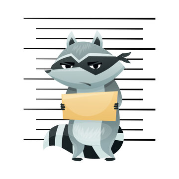 Arrested Raccoon Burglar with Striped Tail Wearing Mask Taking Mug Shot or Police Photograph Vector Illustration