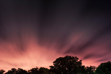 sunset in the forest