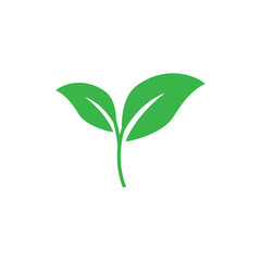 Leaf Icon Design Vector Template Illustration