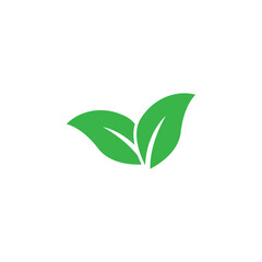 Leaf Icon Design Vector Template Illustration