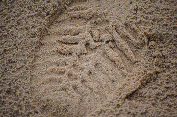 Small child bare foot print on a warm sand and adult shoe print. Summer holiday and time concept....