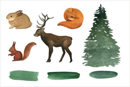 Watercolor set of animal, spruce and blob brush. For greeting card, invitation, gift, tag, event.