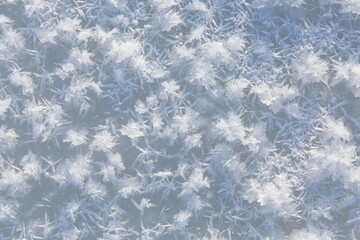 texture of cold winter snow
