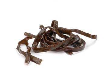 Brown alga, Himanthalia elongata