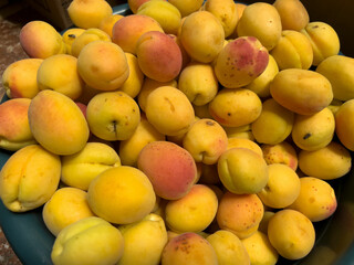 The apricots are as big as the peaches in Dushanbe Bazaar.