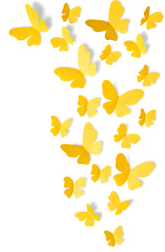Fototapeta Yellow butterflies on white background