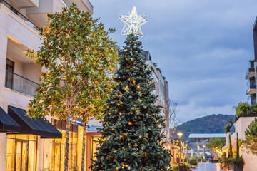 Christmas in the port. Montenegro, Porto Montenegro