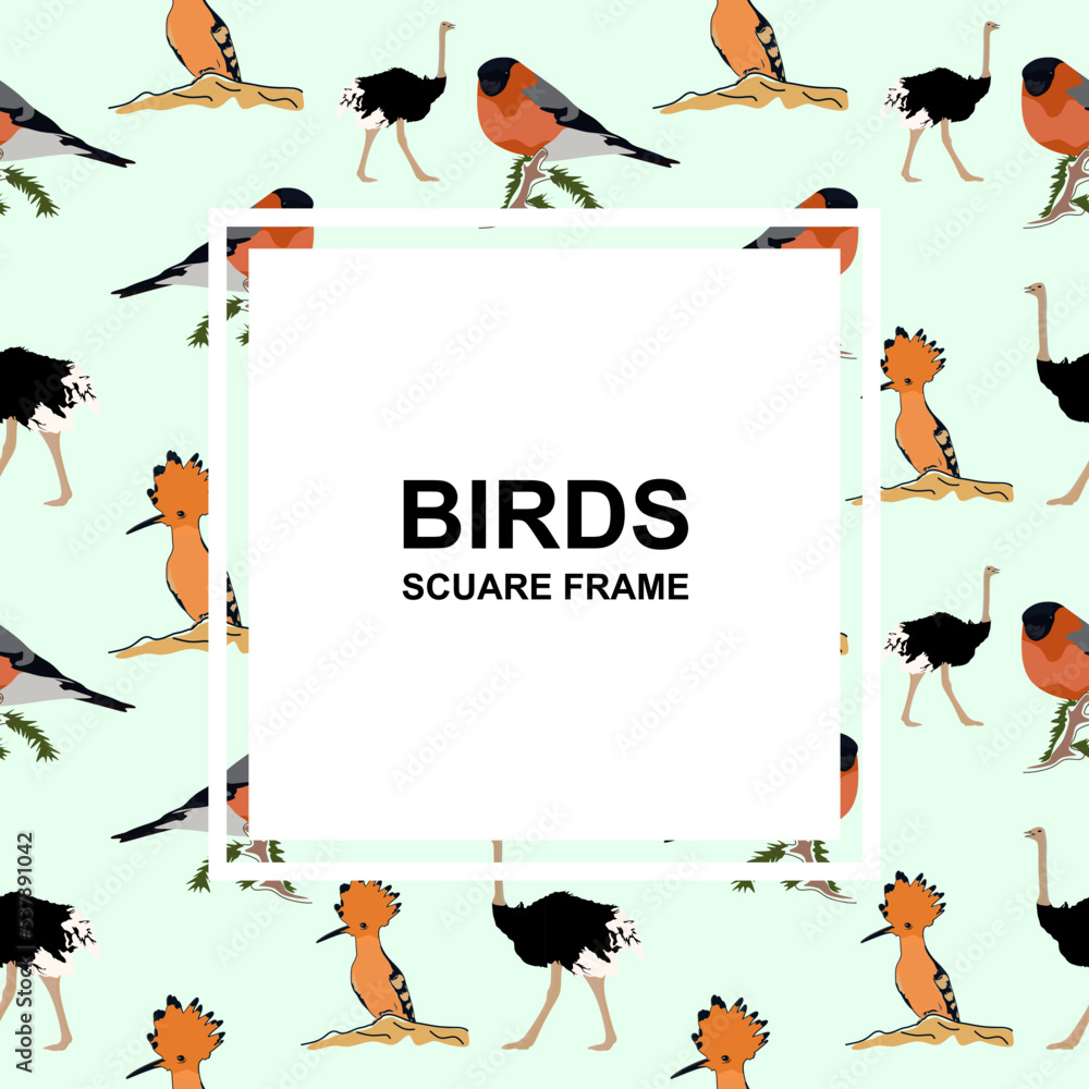 Poster birds square frame. square card background design with different birds. animals background with squa