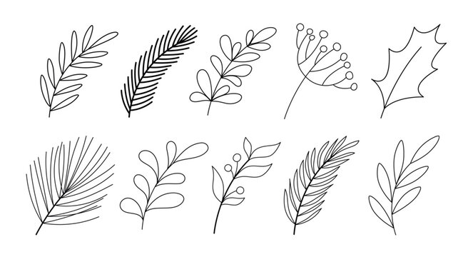 Vector branches and leaves. Hand drawn floral elements. Doodle botanical illustrations.