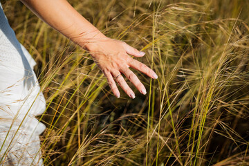 A hand caresses the grass, strokes ears of corn with his hand, a man runs across a field, a woman's...