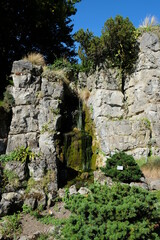 FU 2021-09-25 Flora 215 Am Felsen ist ein kleiner Wasserfall