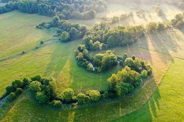 Aerial of Riserva Naturale della Marcigliana with tree lines and green meadow, sun rays flooding