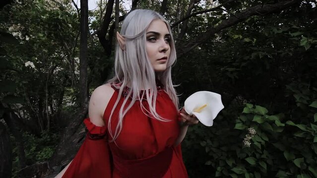 Fairy elf girl in a red dress in the forest. In her hands she holds a magical white flower.