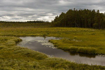 A small river flowing trough a green field with a forest in the background and dramatic clouds in the sky.