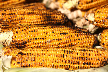 Fototapeta na wymiar selective focus Lots of grilled corn cobs on street counter. Fresh boiled and roasted corn is the famous street food of Istanbul. Smoked Grilled Roasted Corn On The Cob, Rustic Street Food.