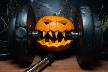 Scary carved Jack-o'-lantern Halloween pumpkin clenching teeth on a heavy barbell dumbbell. Gym...