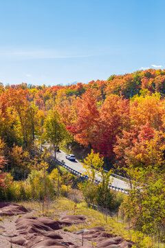 Beautiful and colorful autumn leaves on tree background at the highway near Cheltenham Badlands
