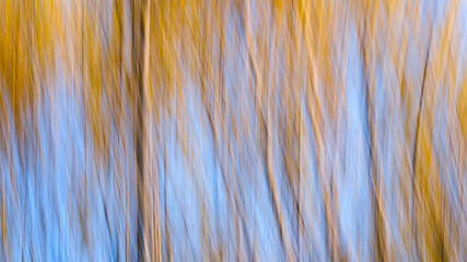 Autumnal textural  forest scenic abstract background with motion blur, toned in vintage style