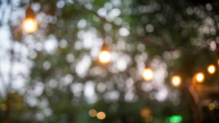 Bokeh of bulb light hanging on tree