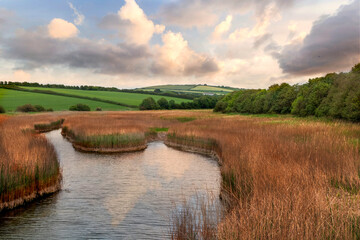 Marshland