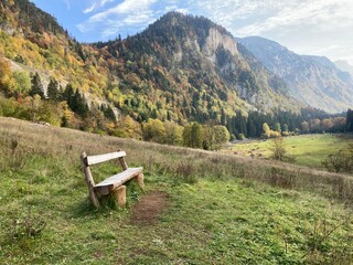 bench in the mountains