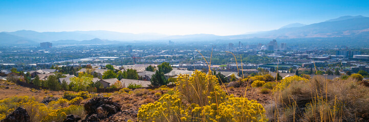 Reno autumn city skyline over Nuttall’s Rayless-Goldenrod flowers and wild plants in the state...