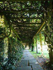 alley in the park