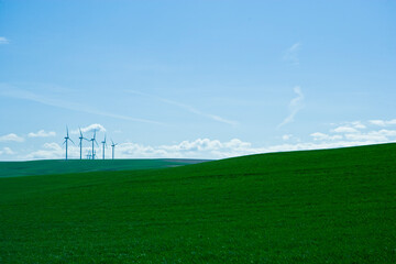 Wind Turbines in distance surrounded by agricultural fields of green with blue sky