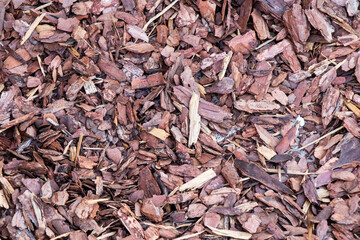Mulching is a surface covering of the soil with mulch to protect it and improve its properties